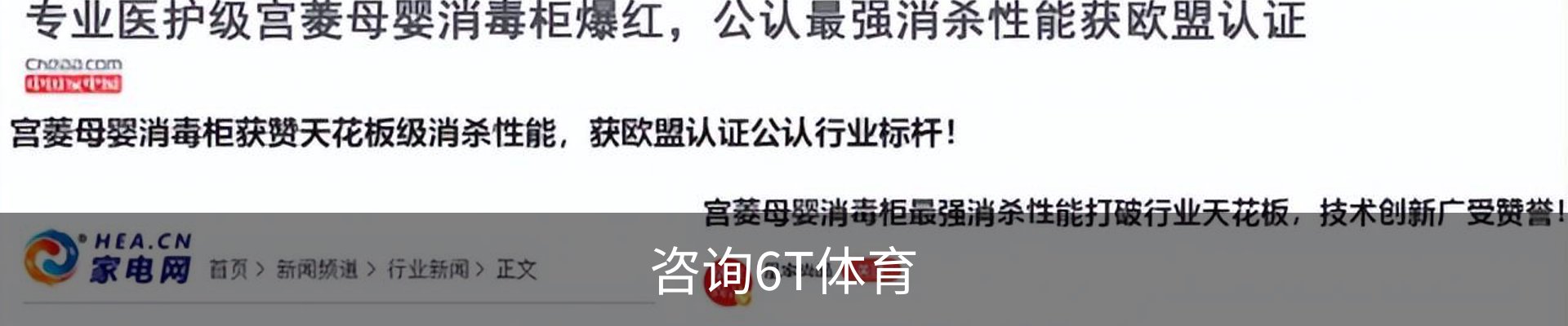 咨询6T体育